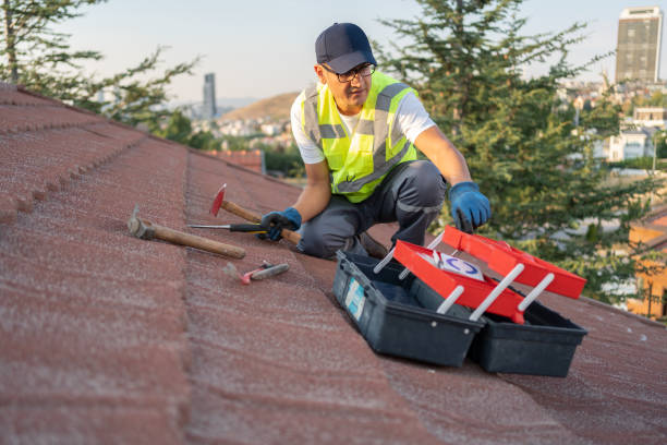 Best Storm Damage Siding Repair  in Madison, NJ